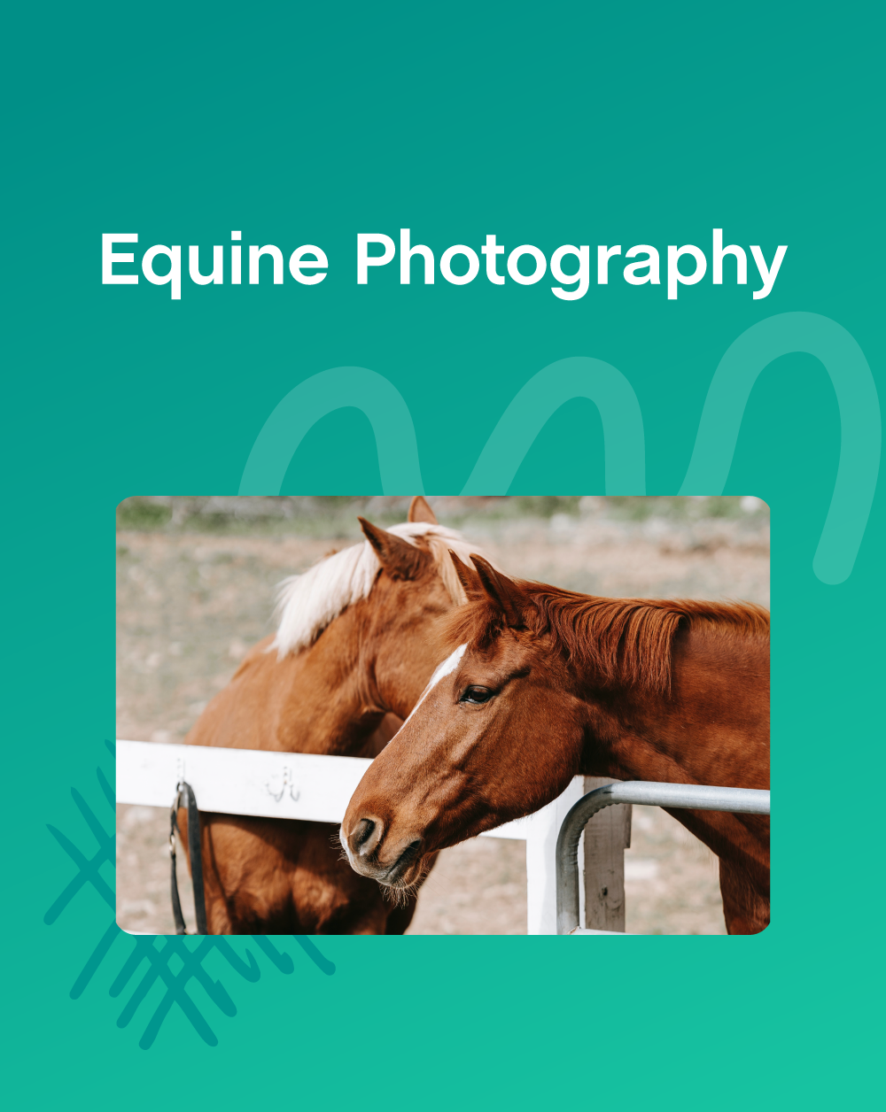 Equine Photography Contract Template - The Contract Shop®