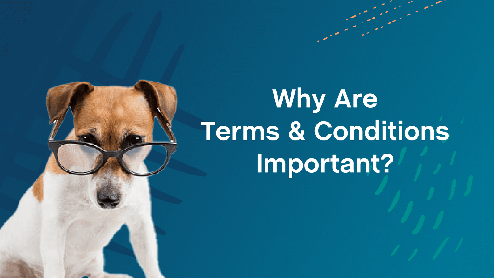 Why Terms and Conditions are Important