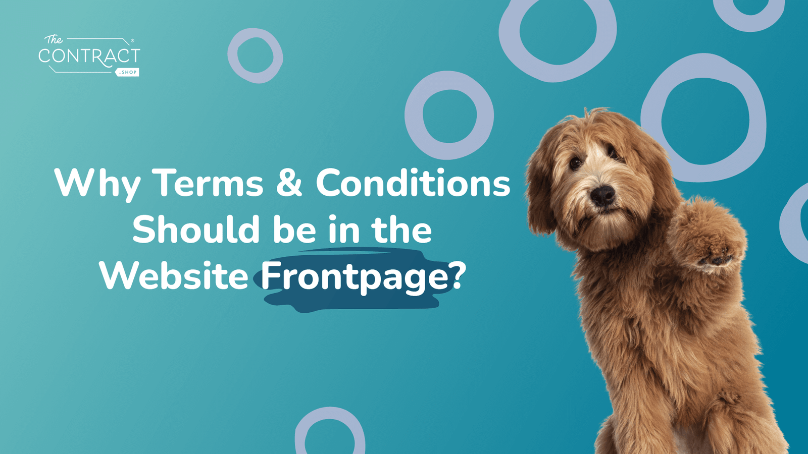 Why Terms and Conditions Should Be in the Website Frontpage