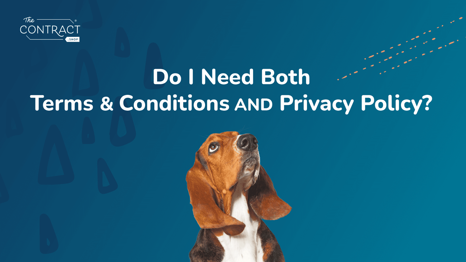 Do I Need Both Terms & Conditions and Privacy Policy?
