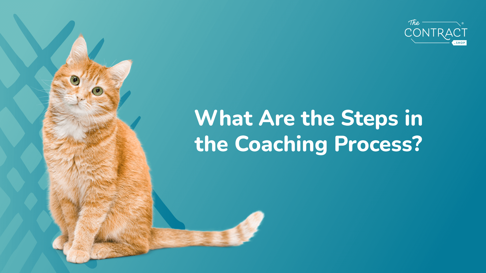 What Are the Steps in the Coaching Process?