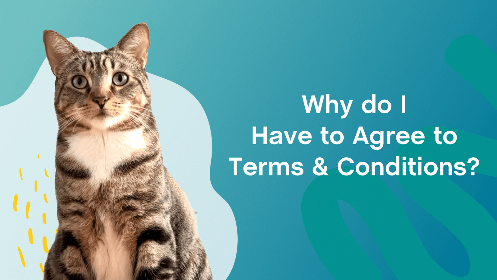 Why Do I Have to Agree to Terms and Conditions?