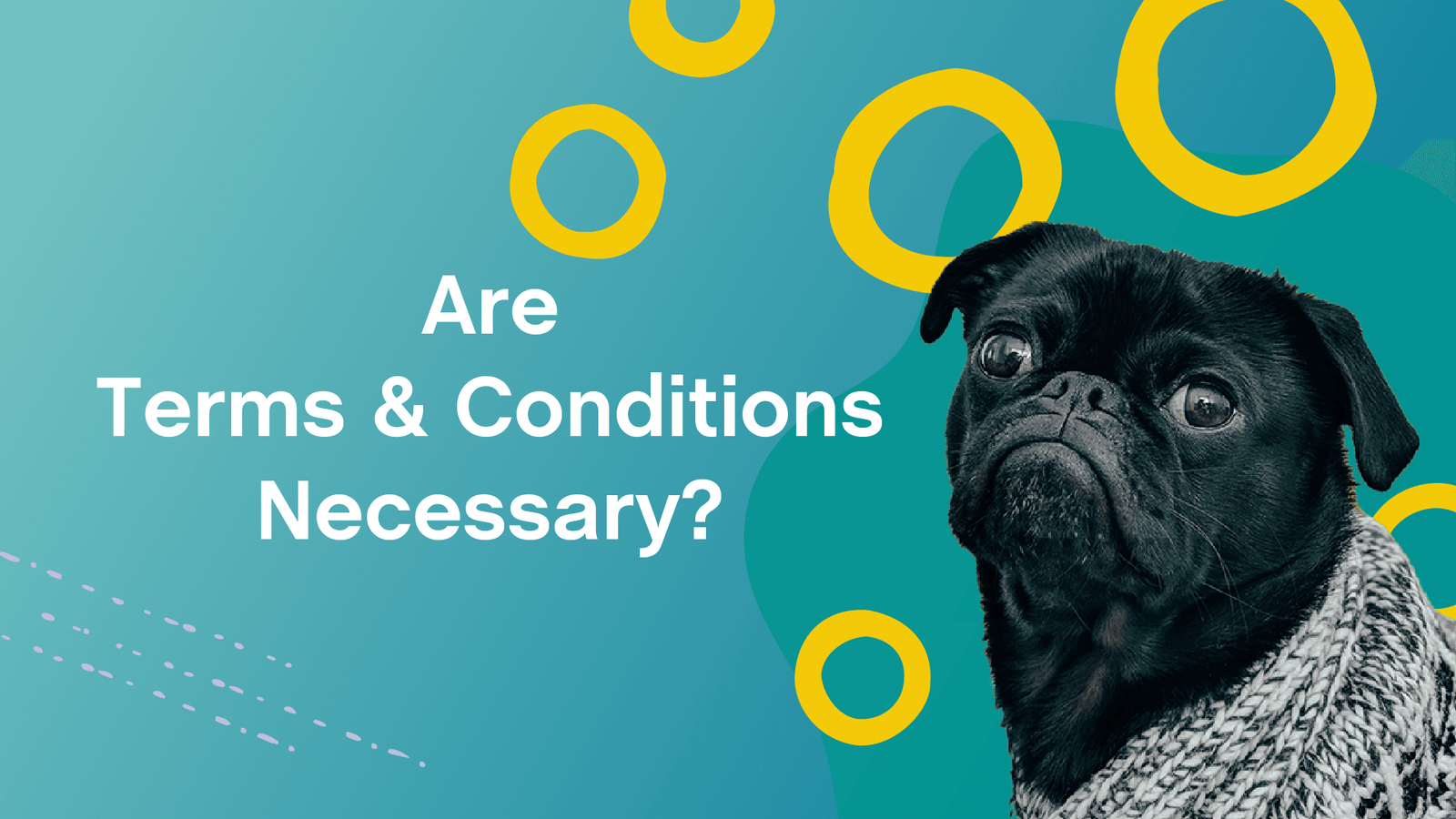 Are Terms and Conditions Necessary?