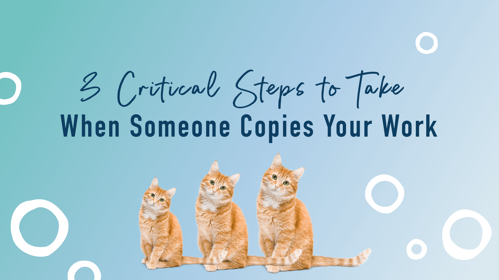 3 Critical Steps to Take When Someone Copies Your Work