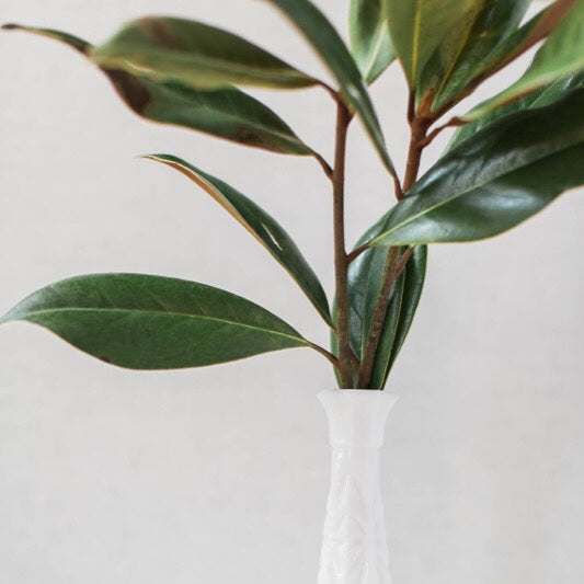 skinny white vase with handful of long stemmed greenery