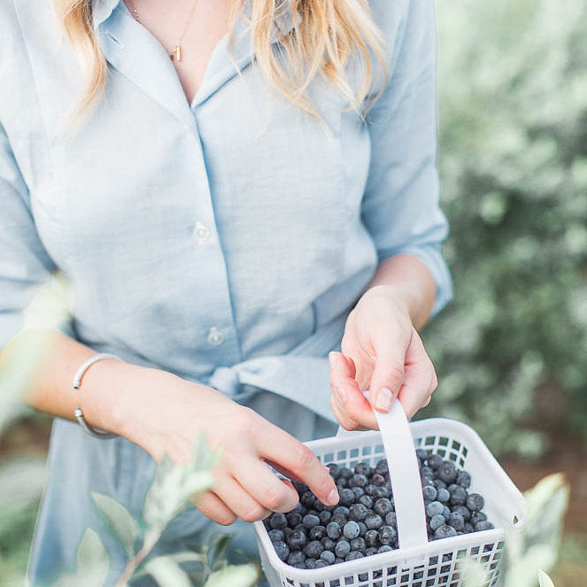 woman in light blue dress holding white square basket full of freshly picked blueberries