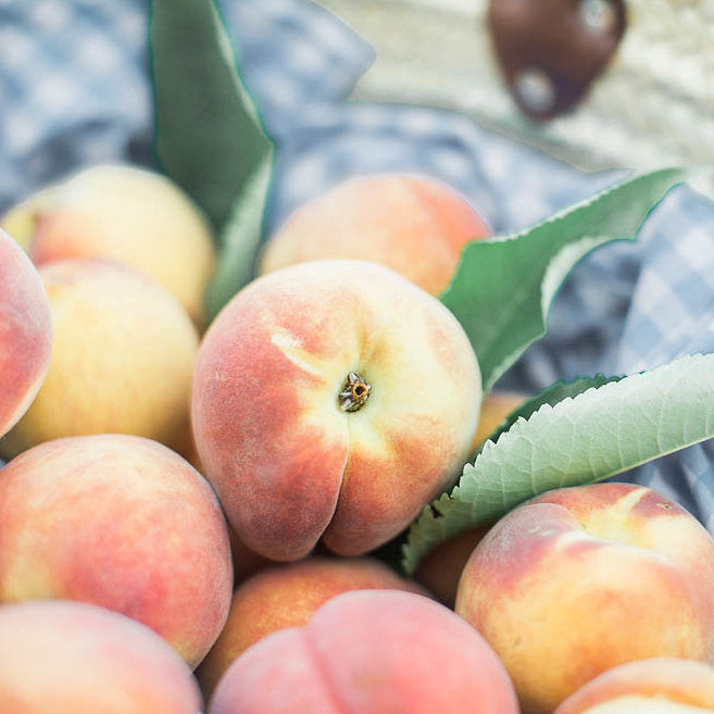 blue and white checkered cloth filled with freshly picked georgia peaches