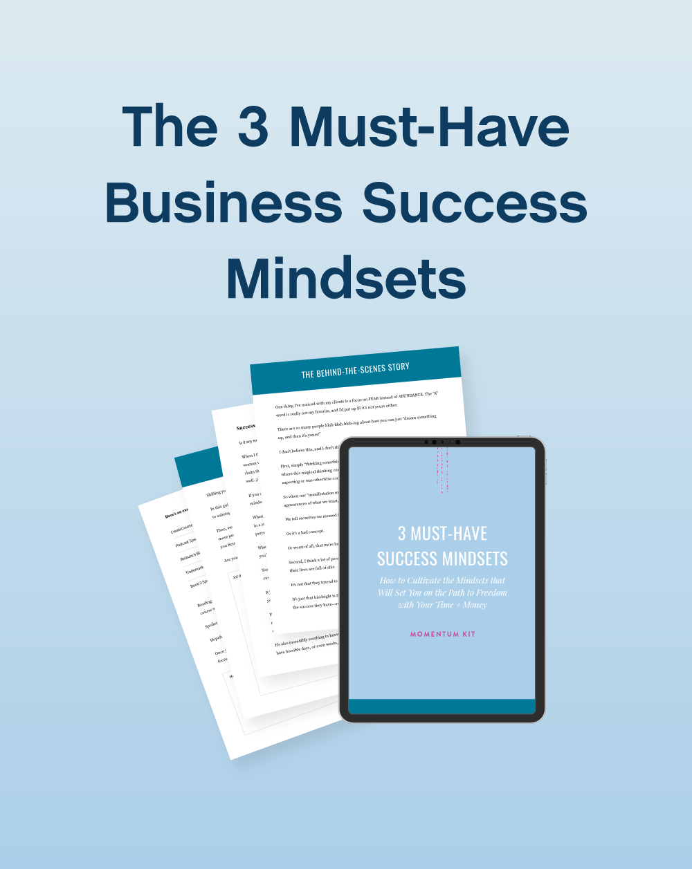 The 3 Must-Have Business Success Mindsets - The Contract Shop®